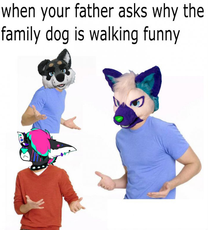 meme stream - bad dragon memes - when your father asks why the family dog is walking funny
