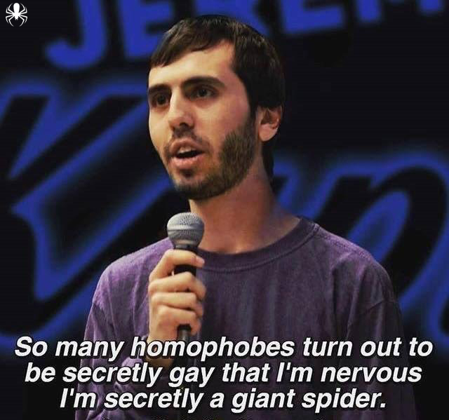 meme stream - homophobes are secretly gay - So many homophobes turn out to be secretly gay that I'm nervous I'm secretly a giant spider.