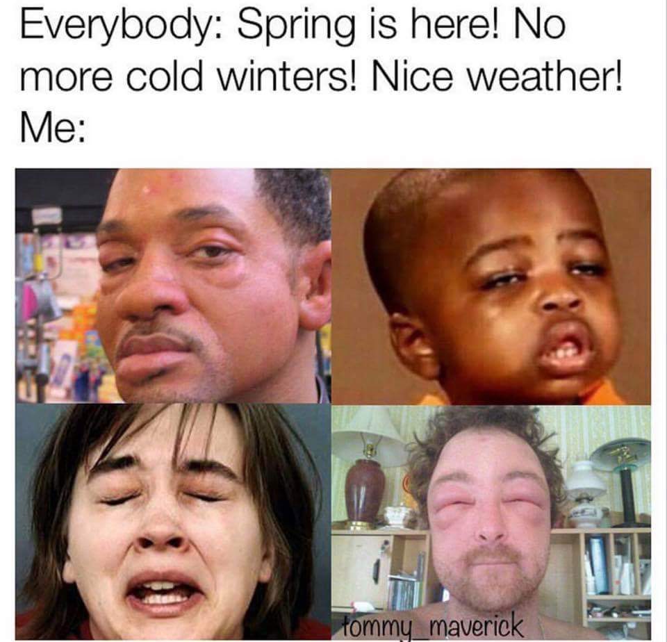 allergy memes - Everybody Spring is here! No more cold winters! Nice weather! Me tommy maverick