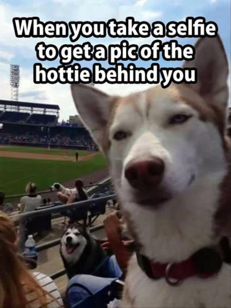 meme - you take a selfie to get - When you take a selfie to get a pic of the hottie behind you