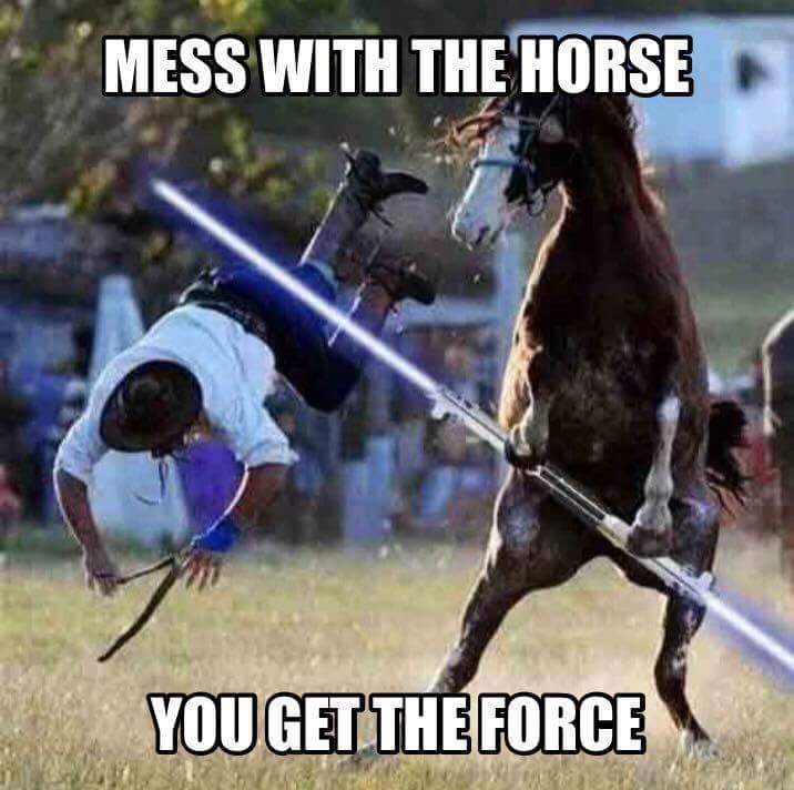 meme - funny horse riding memes - Mess With The Horse You Get The Force