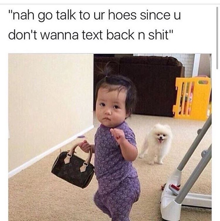 Funny meme of a cute kid dressed up with purse and cute dog.