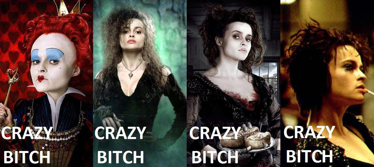 Funny meme about actress who only plays the role of 'crazy bitch' in all her characters.