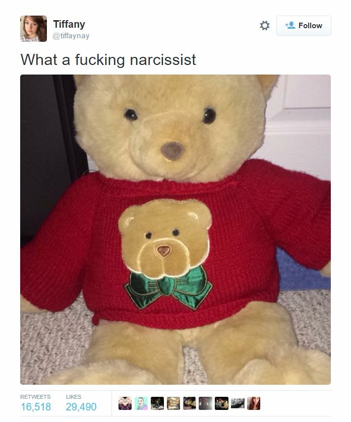 Funny meme of a bear wearing a shirt with himself on it.