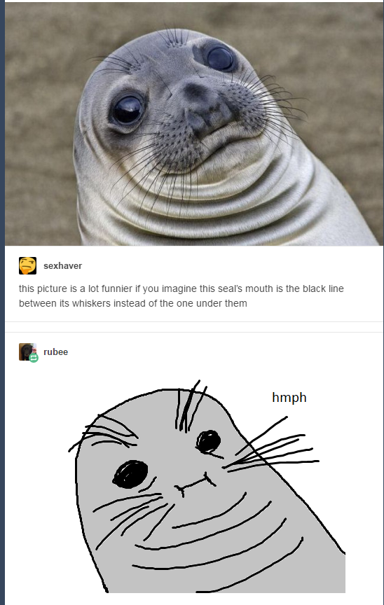awkward seal meme mouth - sexhaver this picture is a lot funnier if you imagine this seal's mouth is the black line between its whiskers instead of the one under them rubee hmph