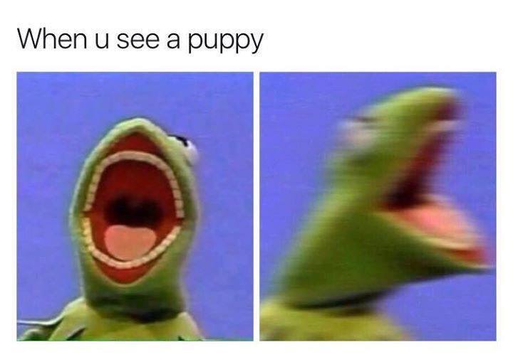 22 Fresh Memes To Keep You Laughing