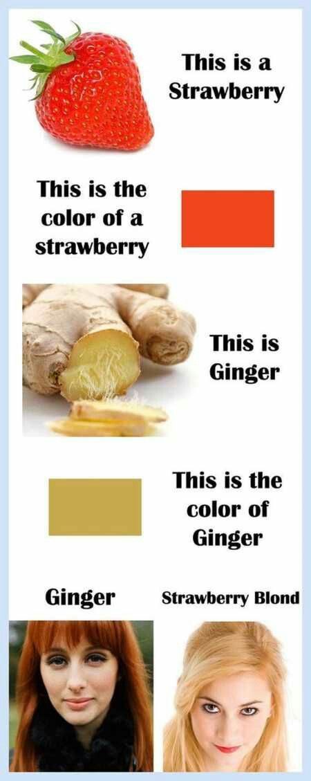 memes - strawberry blond vs ginger - This is a Strawberry This is the color of a strawberry This is Ginger This is the color of Ginger Ginger Strawberry Blond