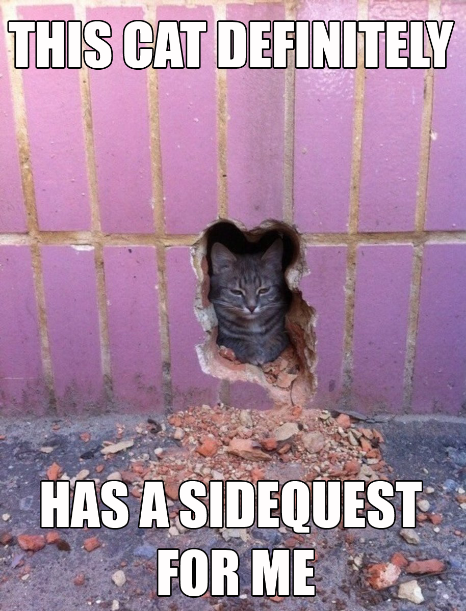 memes - cat skooma meme - This Cat Definitely Has A Sidequest For Me