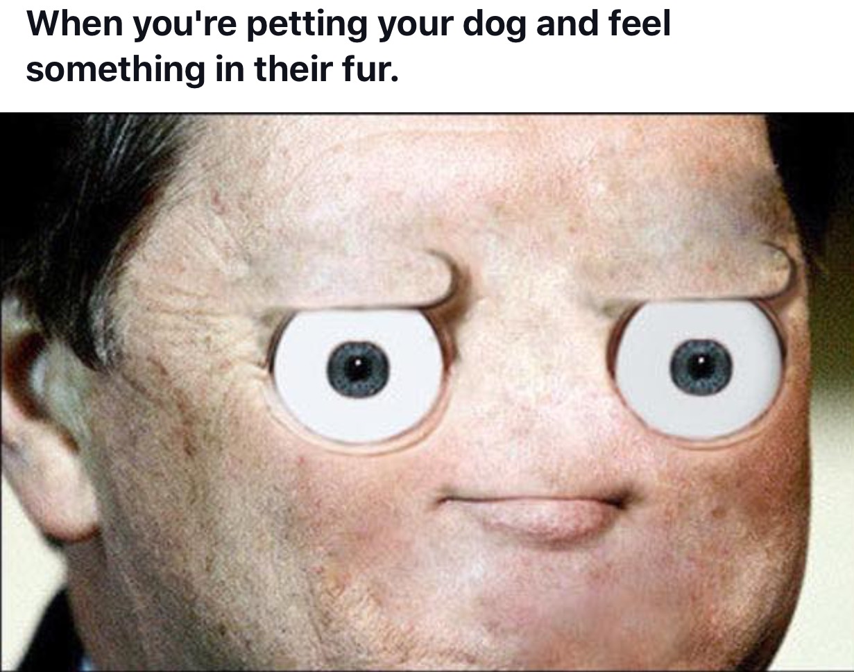 33 Fresh Memes To Kick Start Your Day