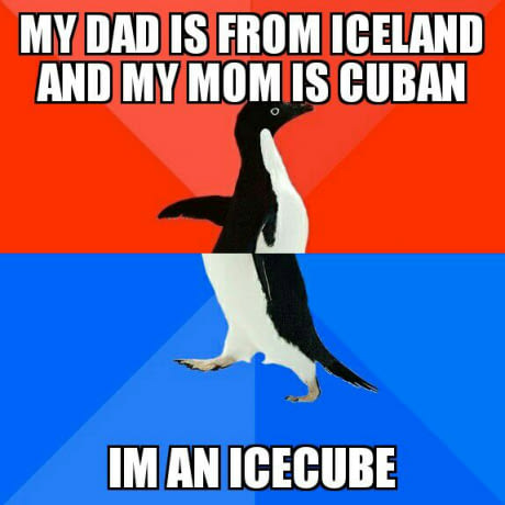 meme socially awkward penguin - My Dad Is From Iceland And My Mom Is Cuban Im An Icecube