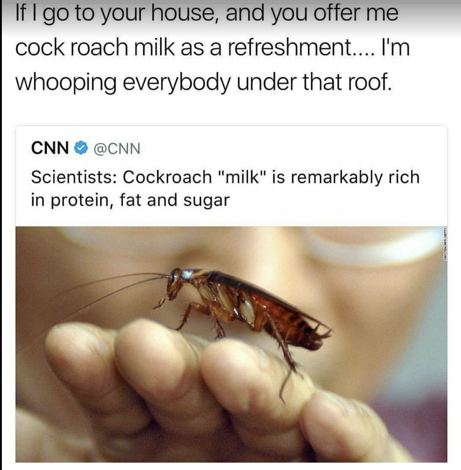 cockroach taste meme - If I go to your house, and you offer me cock roach milk as a refreshment.... I'm whooping everybody under that roof. Cnn Scientists Cockroach "milk" is remarkably rich in protein, fat and sugar