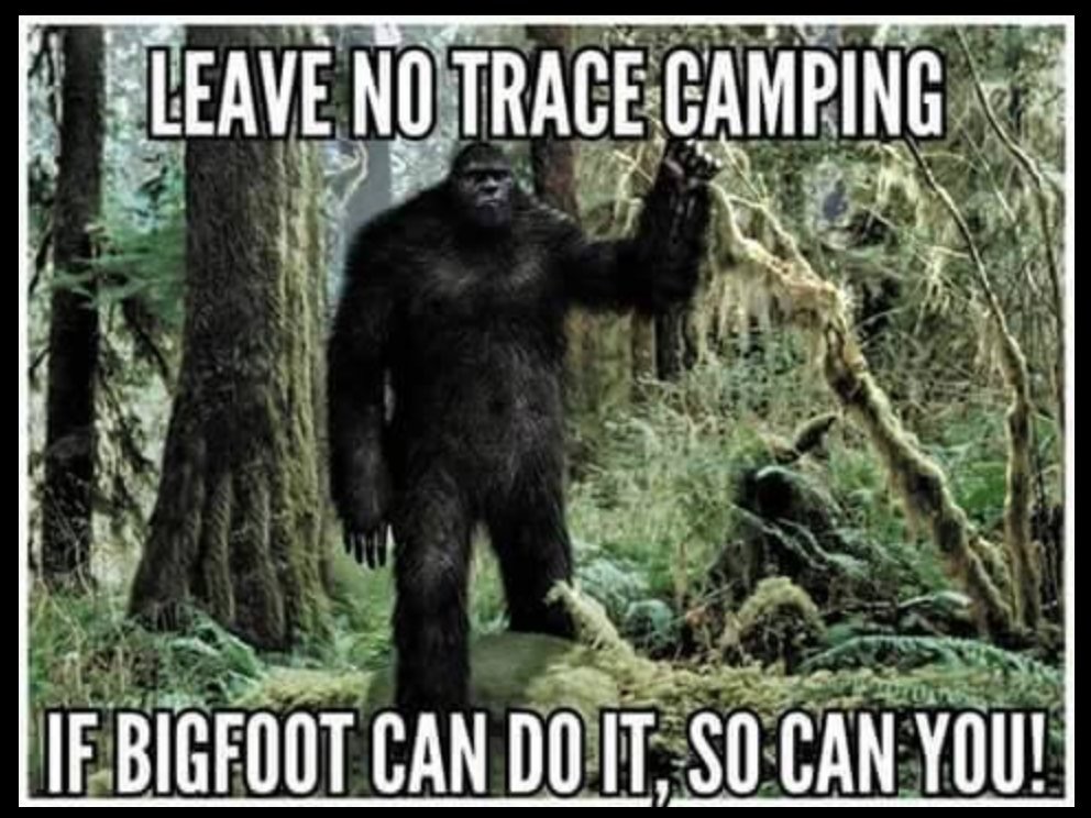 bigfoot leave no trace - Leave No Trace Camping If Bigfoot Can Do It, So Can You!