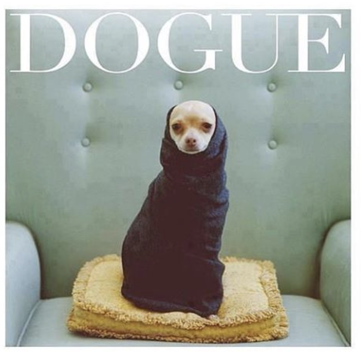 dogue magazine