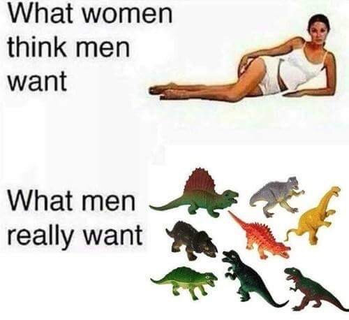 men really want meme - What women think men want What men really want