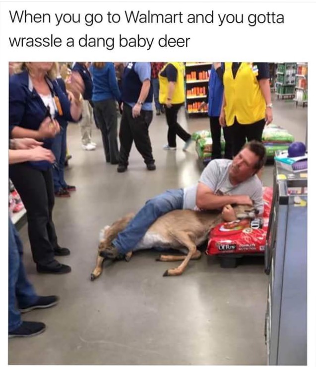 guy wrestling deer in walmart - When you go to Walmart and you gotta wrassle a dang baby deer