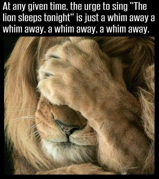 Lion King pun meme