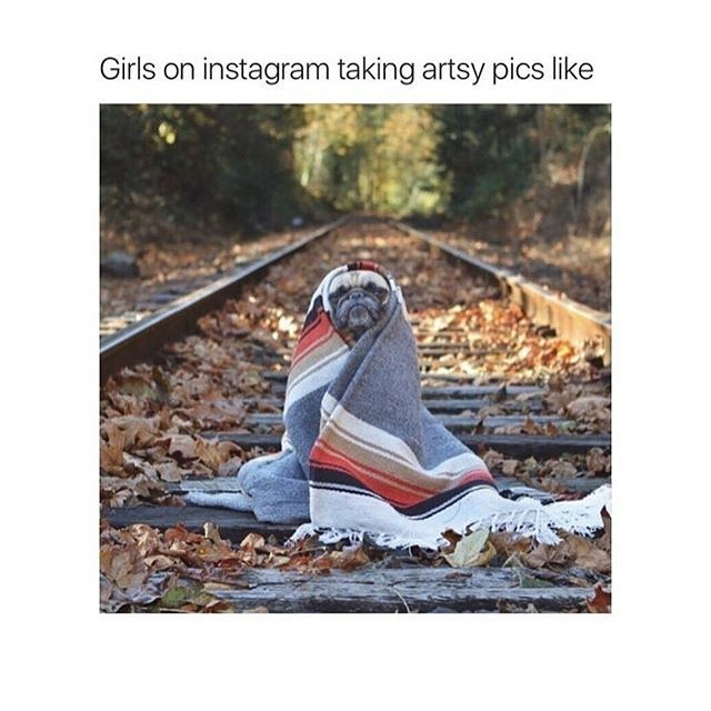 Funny meme about girls on Instagram likeing artsy pics like a pug wrapped in a blanket on an old rail road track.