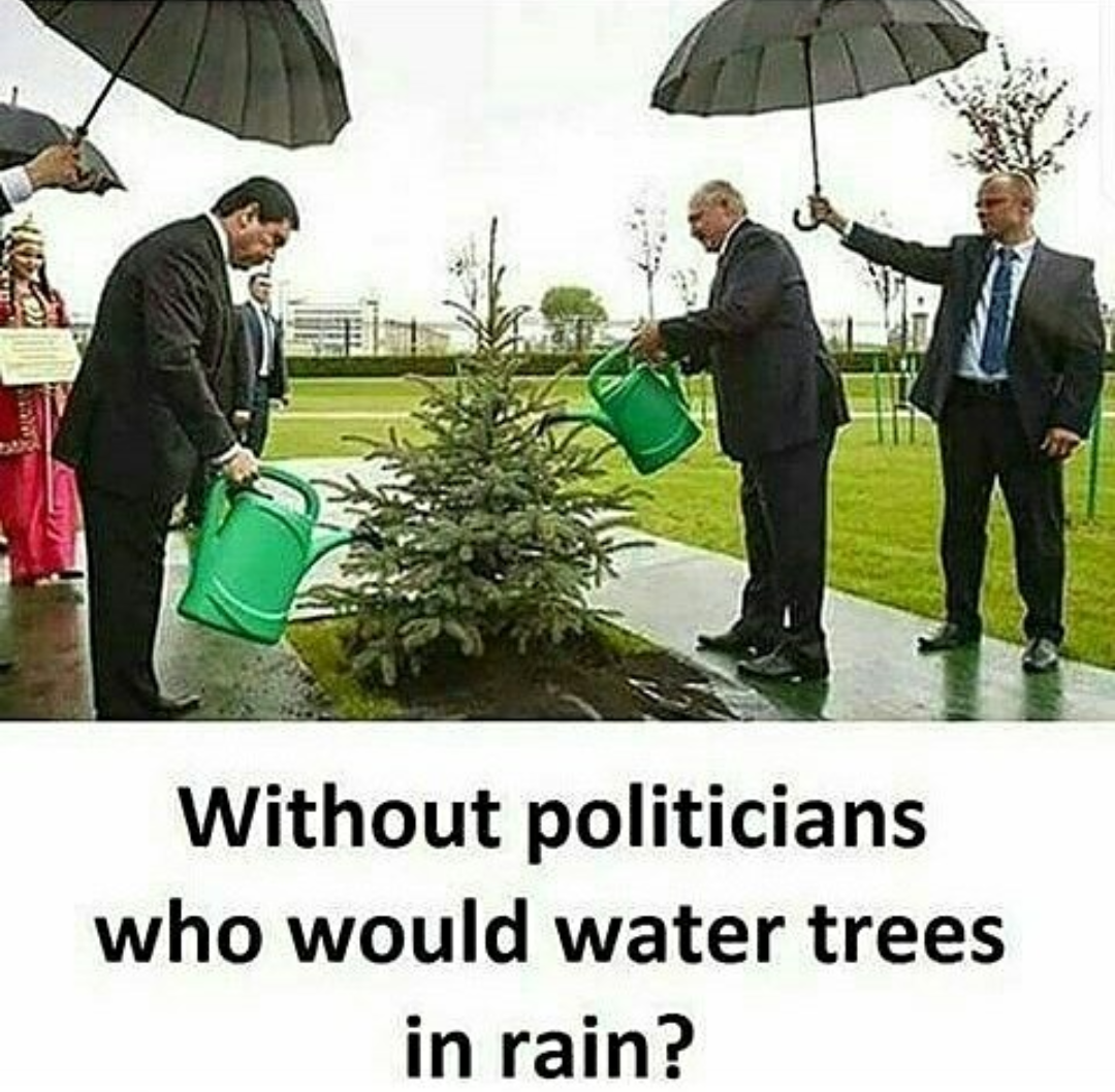 without politicians who would water trees in rain - Without politicians who would water trees in rain?