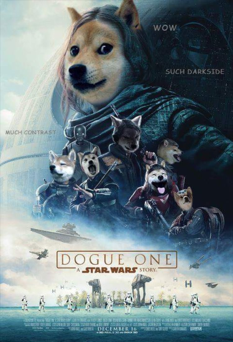 dogue one - Wow Such Darkside Much Contrast Dogue One A Star Wars Story Gal Sevgmail Der December 16 Merle Burs N20 Asilo 0 Max Dd