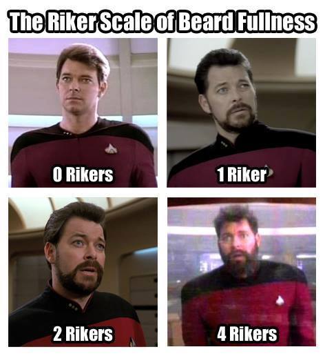 riker's beard - The Riker Scale of Beard Fullness O Rikers 1 Riker 2 Rikers 4 Rikers