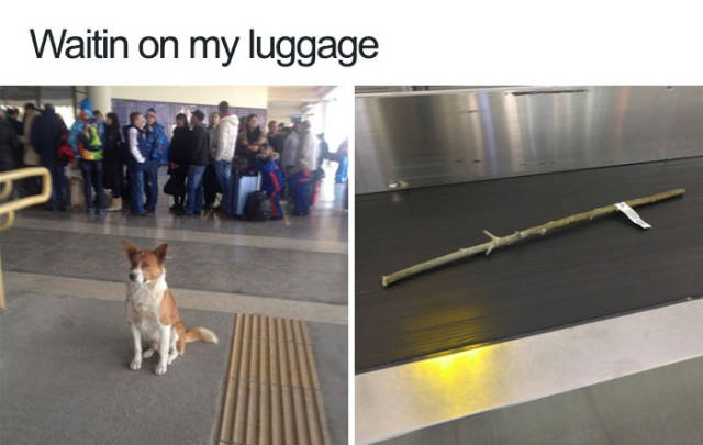 26 Fresh Memes To Kick Start Your Day