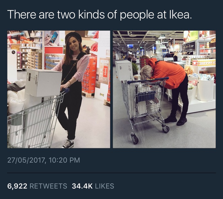 There are two kinds of people at Ikea.