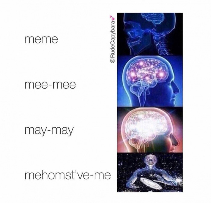 Funny brain activity meme about how to pronounce meme correctly.