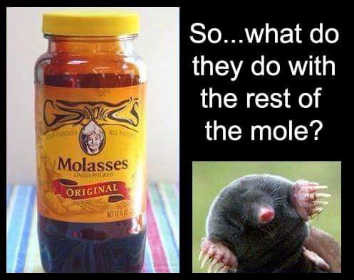 Molasses next to a pic of a mole's ass and caption asking what they do with the rest of the mole.