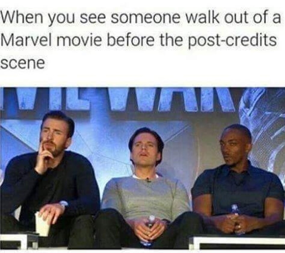 meme stream - When you see someone walk out of a Marvel movie before the postcredits scene