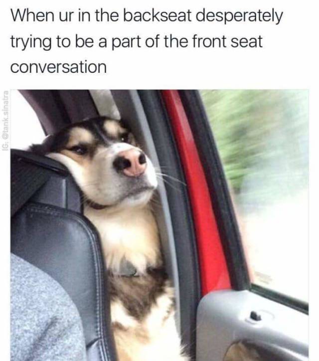 meme stream - funny memes - When ur in the backseat desperately trying to be a part of the front seat conversation Ig Otank sinatra