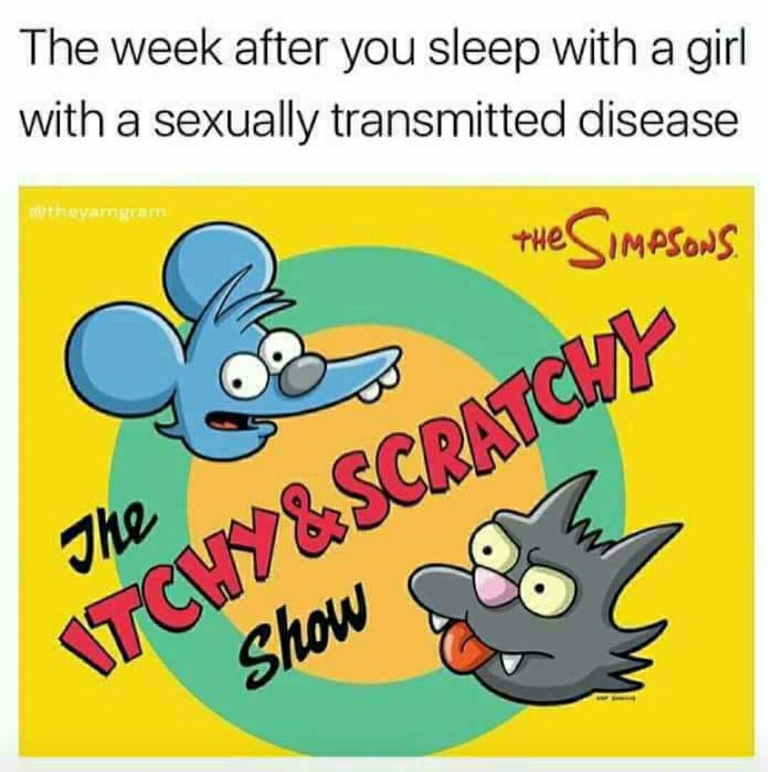 meme stream - cartoon - The week after you sleep with a girl with a sexually transmitted disease thavamgram The Simpsons The Itchy& Scratch Show
