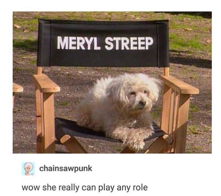 meme stream - wow she really can play any role - Meryl Streep chainsawpunk wow she really can play any role