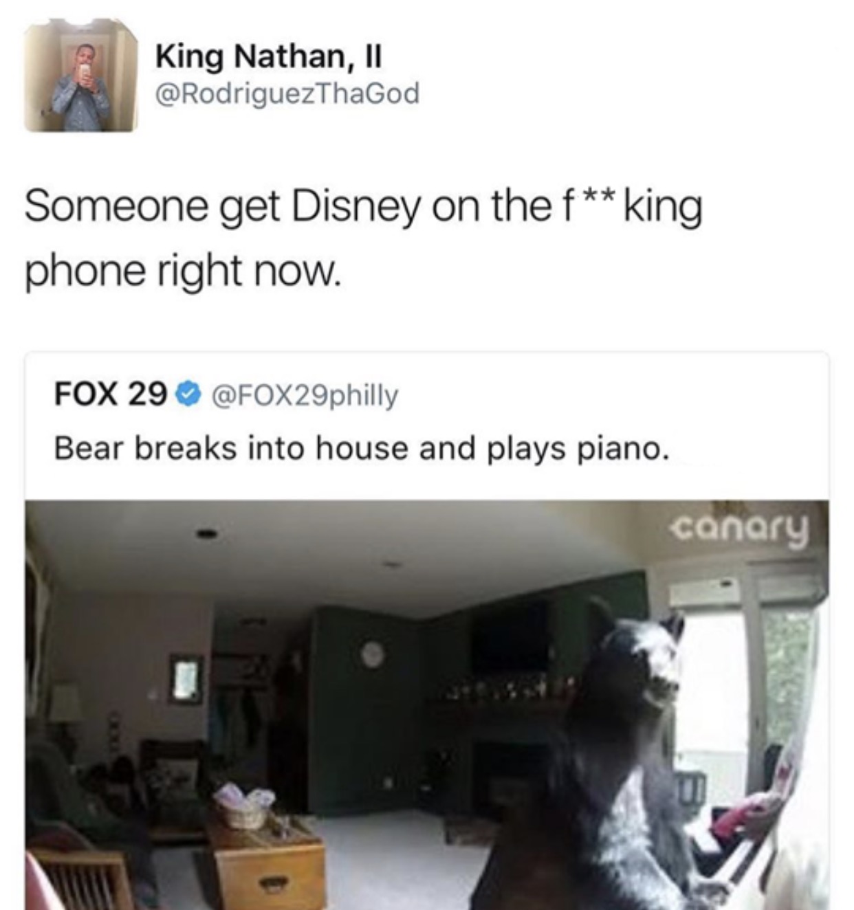 Bear breaks into house to play the piano