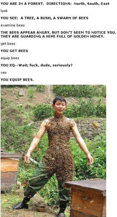 meme - equip bees - You Are In A Forest. Directions North, South, East look You See A Tree, A Bush, A Swarm Of Bees examine bees The Bees Appear Angry, But Don'T Seem To Notice You. They Are Guarding A Hive Full Of Golden Honey. get bees You Get Bees equi
