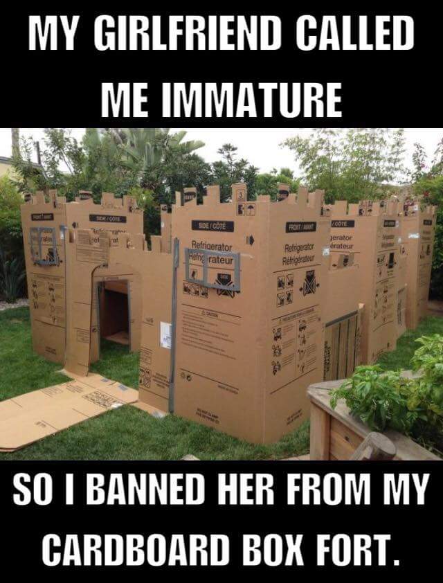 meme - funny girlfriend memes - My Girlfriend Called Me Immature Side Cote Cote Port Jerator erateur Refrigerator Rang rateur Petrigerator N So I Banned Her From My Cardboard Box Fort.