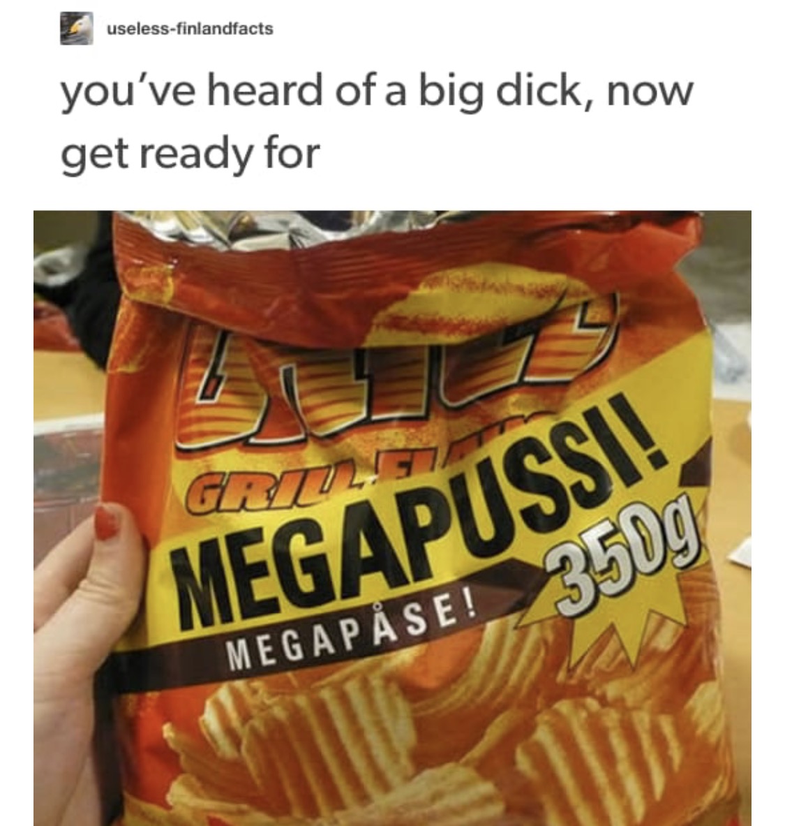 meme - inappropriate memes - uselessfinlandfacts you've heard of a big dick, now get ready for Megapussi! Mega P Se!