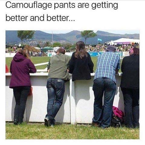 meme - camouflage pants meme - Camouflage pants are getting better and better...