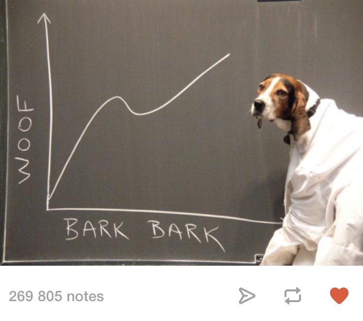 memes - dog scientist meme - Woo Bark Barki 269 805 notes