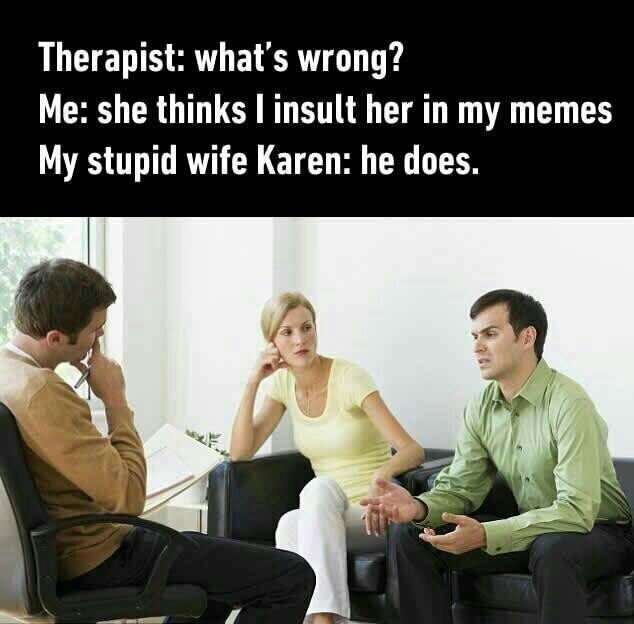 memes - funny insult memes - Therapist what's wrong? Me she thinks I insult her in my memes My stupid wife Karen he does.