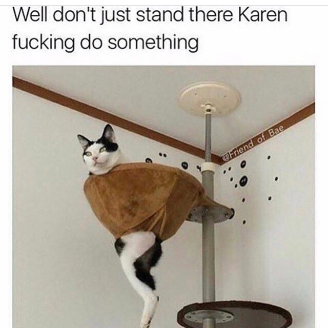 memes - don t just stand there karen - Well don't just stand there Karen fucking do something Friend of Bae