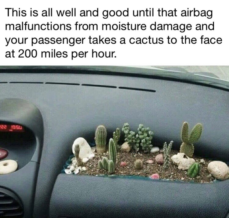 memes - cactus plant in car - This is all well and good until that airbag malfunctions from moisture damage and your passenger takes a cactus to the face at 200 miles per hour. 222