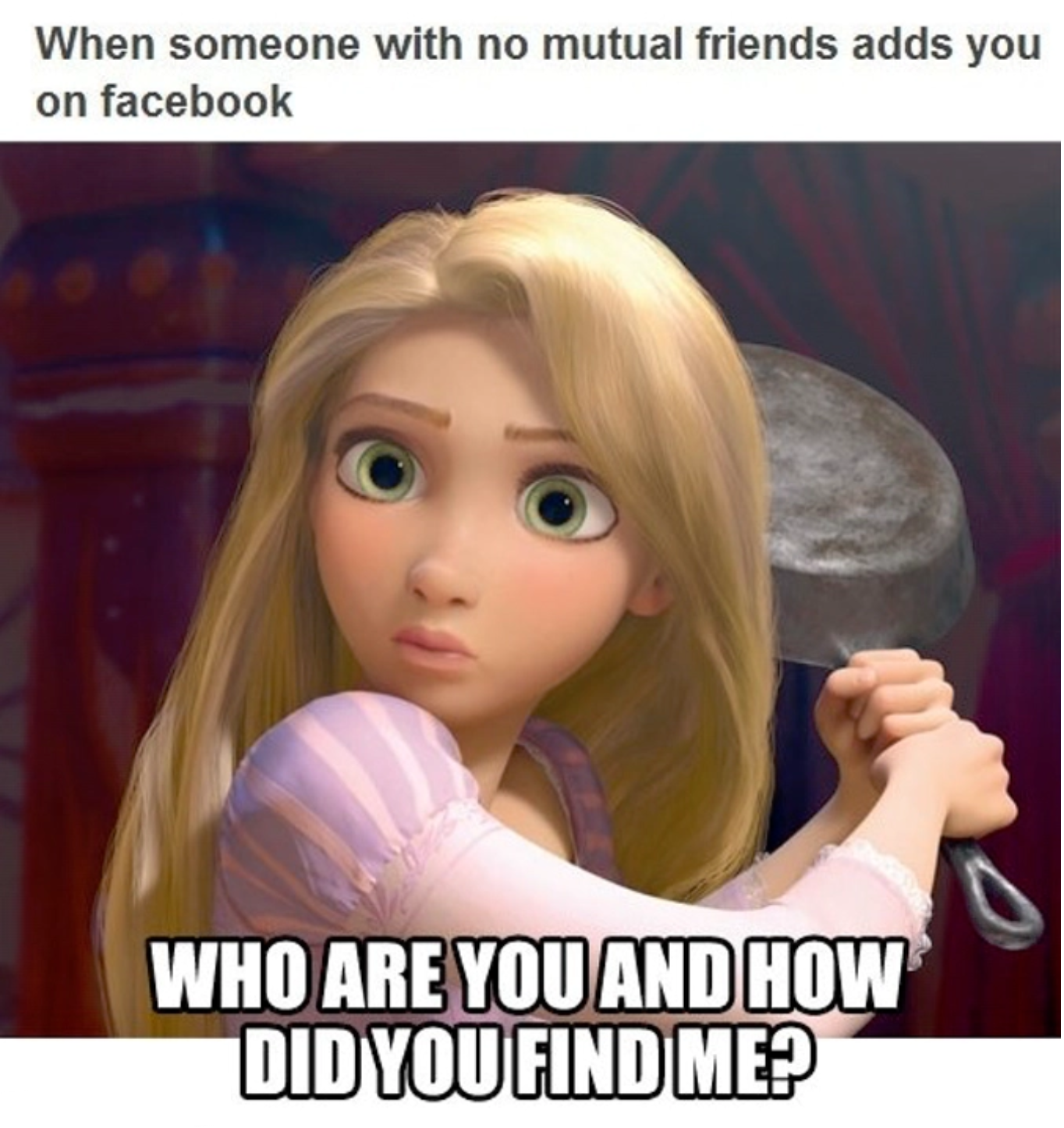 memes - tangled rapunzel - When someone with no mutual friends adds you on facebook Who Are You And How Did You Find Me?