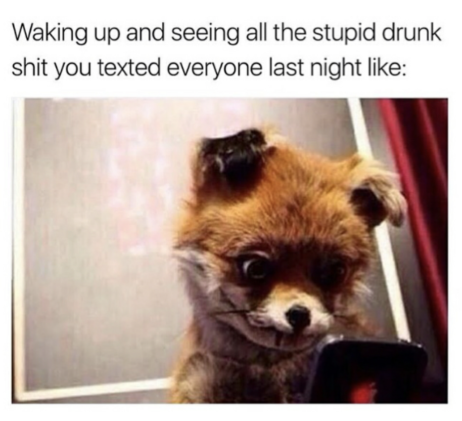 Meme about when you wake up after being drunk and see all the stupid texts you sent everyone.