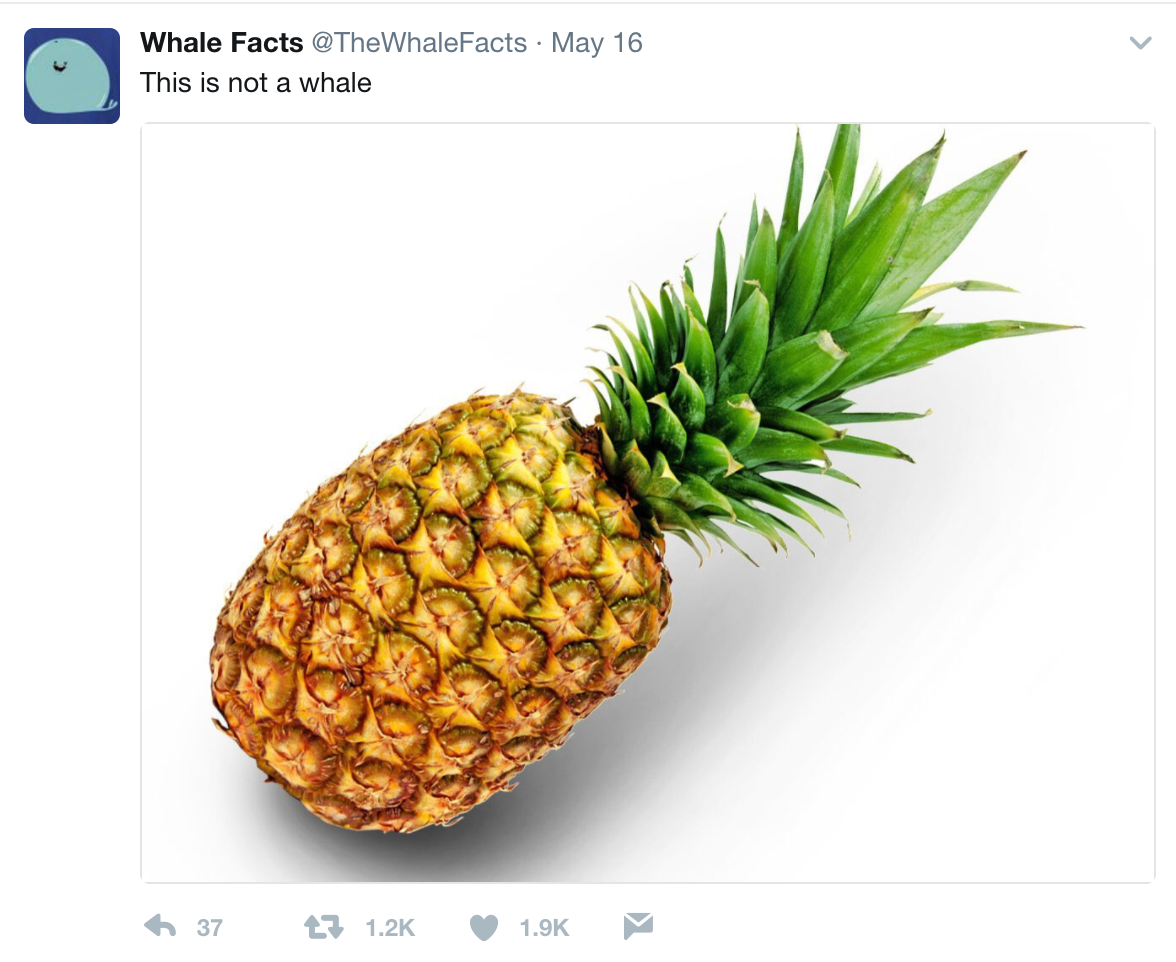 Pineapple is not a whale