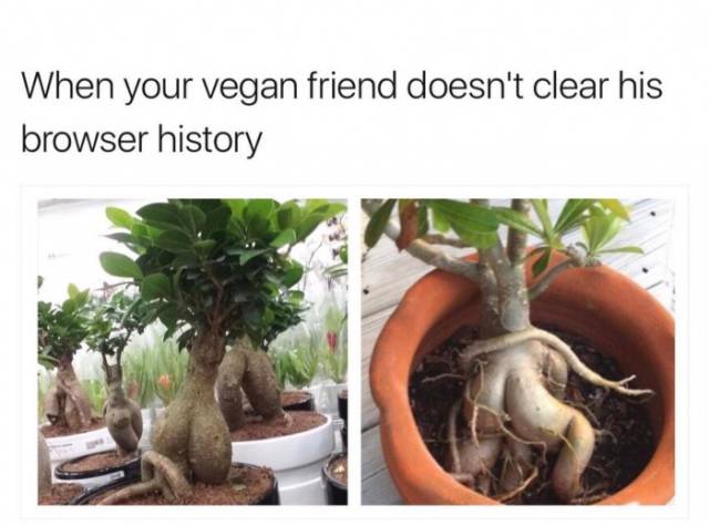 Erotic looking plants joked as what vegan friend has in their browser history.