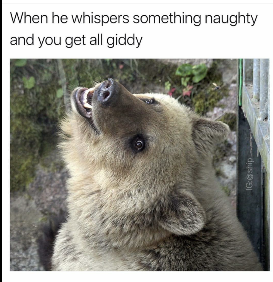 Laughing hyena meme about when you whisper something naughty and get all giddy.