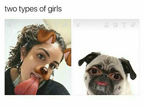 Snapchat meme about the 2 types of girls.