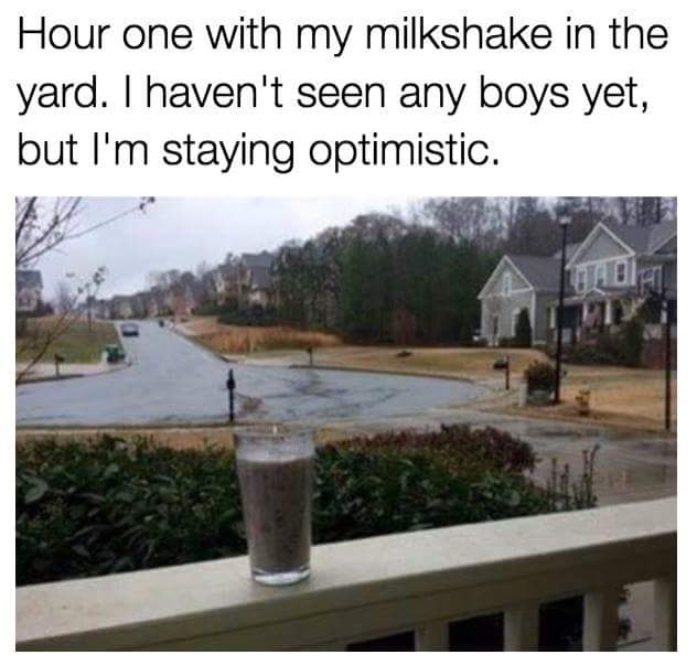 Milkshake that has not yet brought all the boys to the yard.