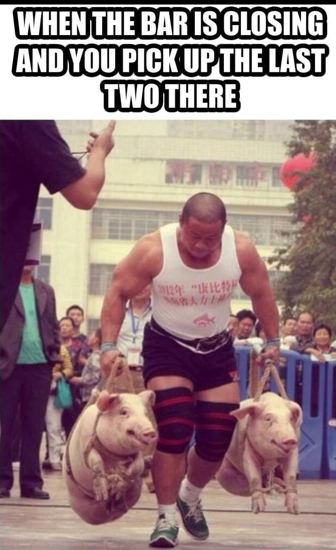 Meme of funny pic of two hogs being carried but one big guy.