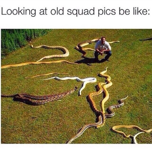 Man in a yard full of snakes compared to how it feels when you look at your old pics.